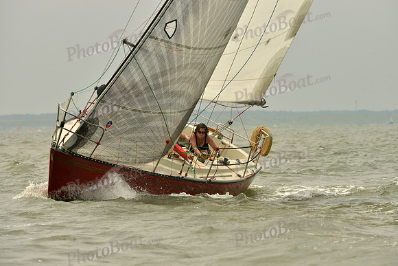 2016 Southern Bay Race Week A_0774