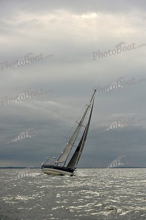 2018 Vineyard Race A_2354