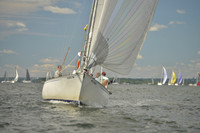 2016 Vineyard Race A_0401