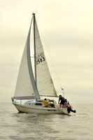 2016 Southern Bay Race Week D_0060