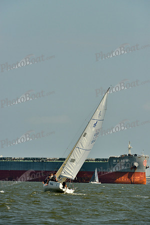 2016 Southern Bay Race Week B_0395