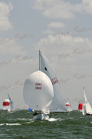 2012 Thistle Midwinters B 1252