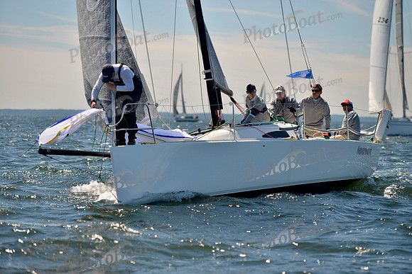 2017 Vineyard Race A_0537