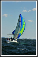 proof_2010_Vineyard_Race_0276