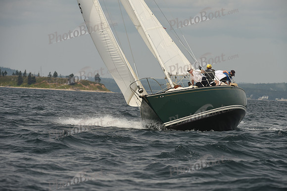 2016 Chester Race Week C_1263