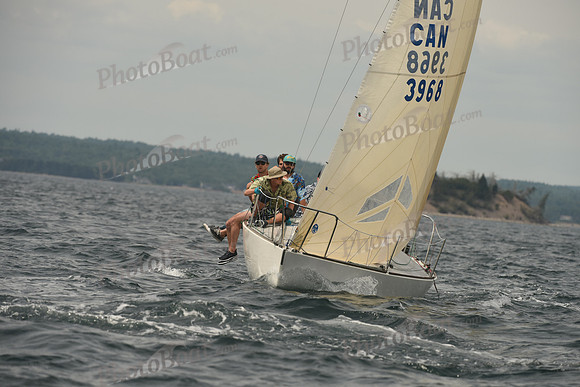 2016 Chester Race Week C_0934