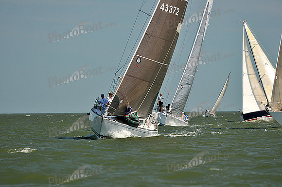 2013 Southern Bay Race Week D 382