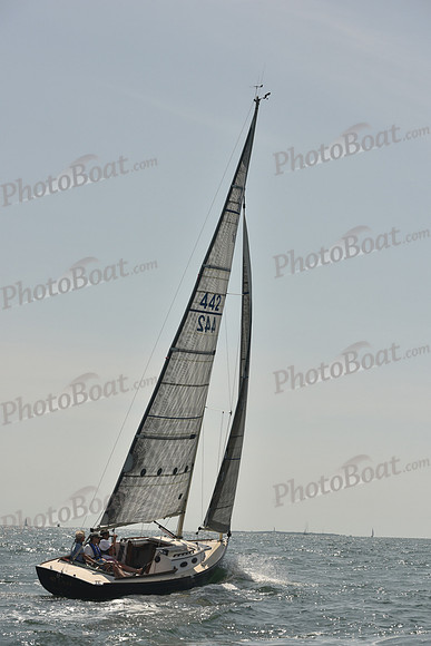 2018 Vineyard Cup A_0564