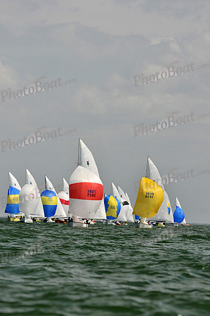 2012 Thistle Midwinters B 1378