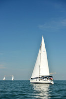 2015 Cape Charles Cup C 436