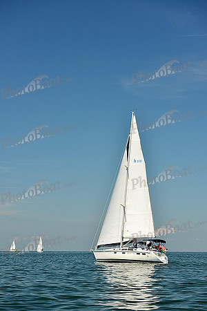 2015 Cape Charles Cup C 436