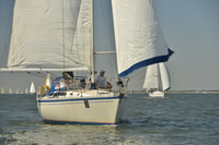 2017 Southern Bay Race Week B_0237
