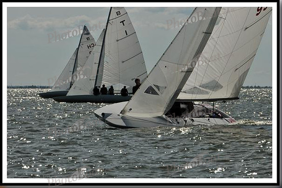 proof_2010_EScows_E 820