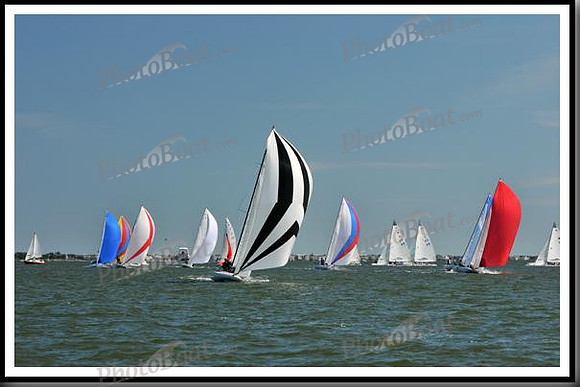 proof_2010_EScows_E 913