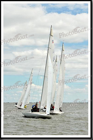 proof_2010_EScows_A 1446