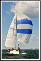 proof_2010_Vineyard_Race_1137