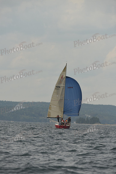 2016 Chester Race Week C_1686