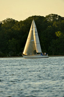 2015 Gov Cup C 495