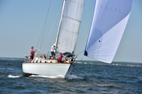 2019 Vineyard Race A_0395