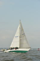 2015 Vineyard Race A 175
