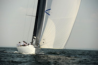 2013 Vineyard Race A 1724