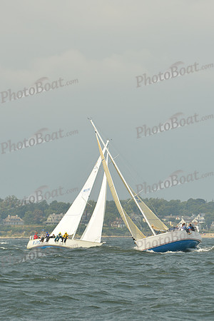 2015 Vineyard Race A 563