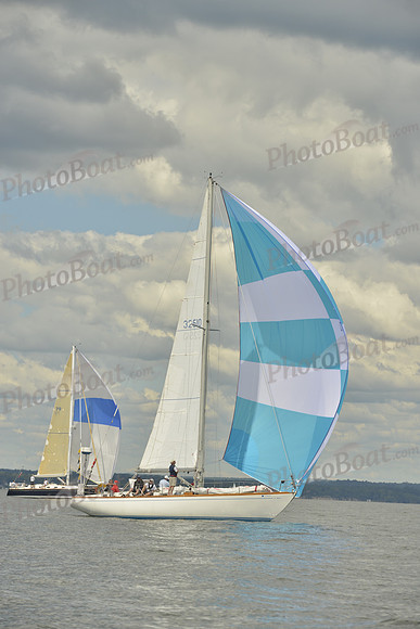 2016 Vineyard Race A_1013