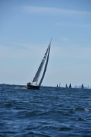 2022 Vineyard Race A_0650