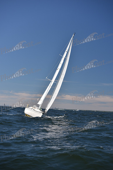 2022 Vineyard Race A_0236