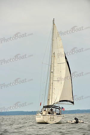 2017 Vineyard Race B_0292