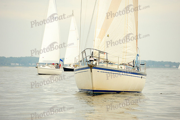 2014 Gov Cup A 477