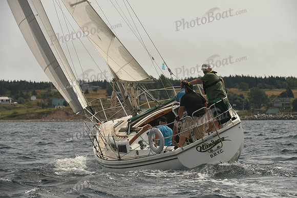 2016 Chester Race Week C_0766