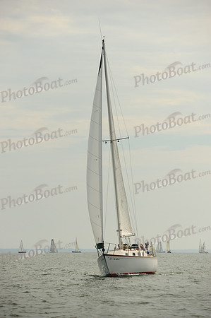 2014 Cape Charles Cup B 524