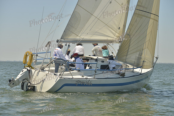 2017 Southern Bay Race Week B_1585