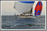 proof_2010 Block Island Race 1132