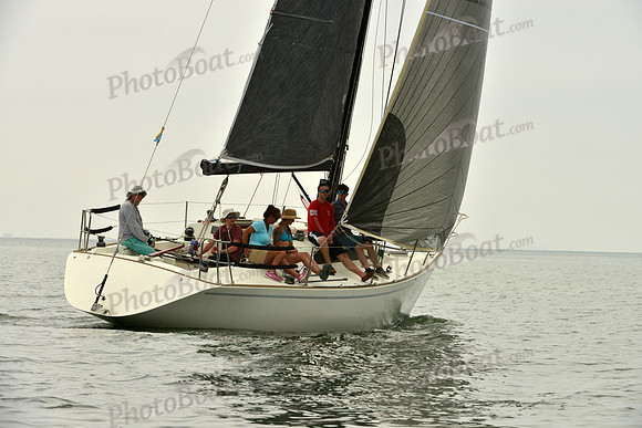 2016 Southern Bay Race Week E_0097