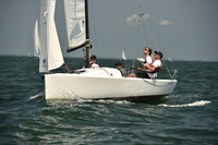 Amonini