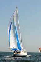 2012 Vineyard Race A 313