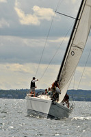 Tiburon