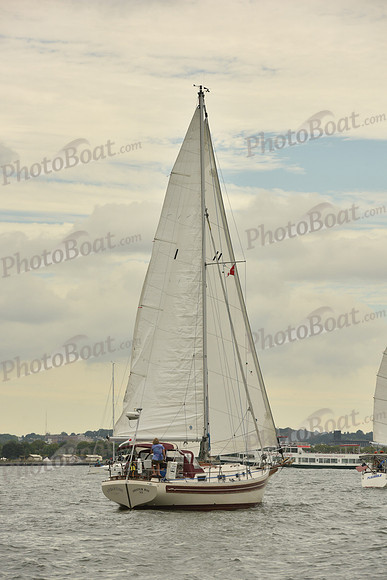 2018 ALIR_0102