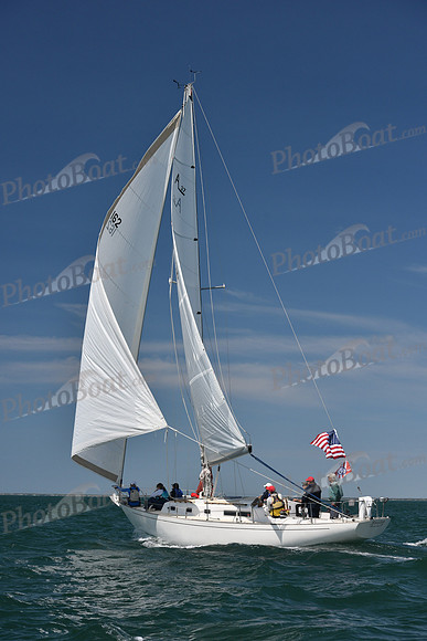 2019 Figawi_0297