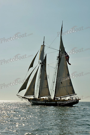 2017 St Petersburg Habana Race_1806