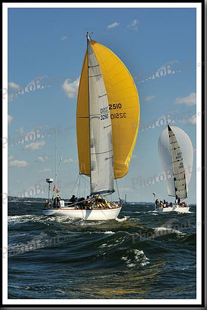 proof_2010_Vineyard_Race_0485