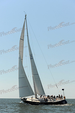 2014 Charleston Race Week A 739
