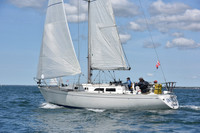 2019 Figawi_0536