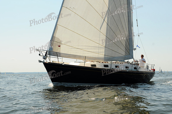 2011 Vineyard Race A 1742