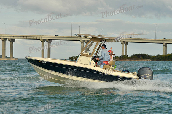 2019 Feb 10 Tampa Bay B_0886