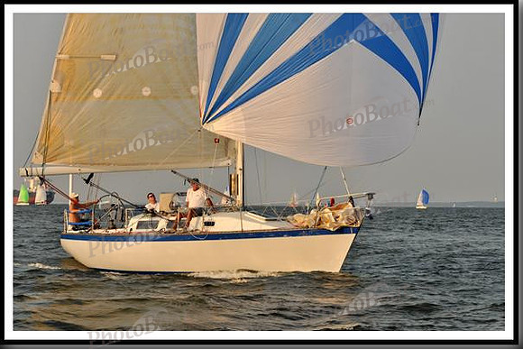 proof_2010 Gov Cup A 742