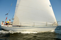 2011 Vineyard Race A 1796