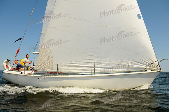 2011 Vineyard Race A 1796